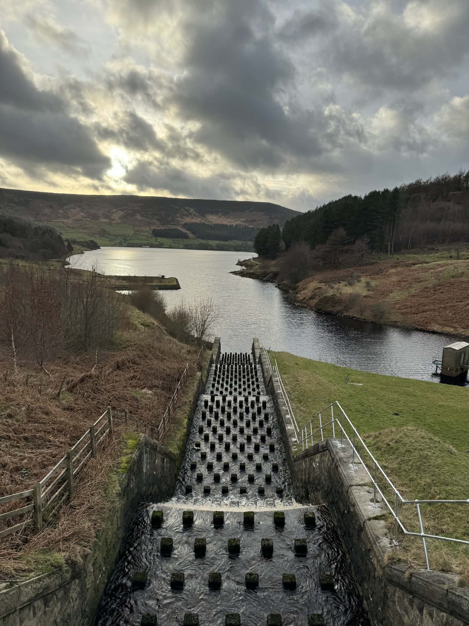 A Fresh Start for 2026